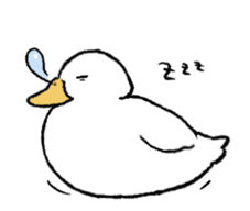 real duck in motion sticker #14219667