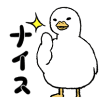 real duck in motion sticker #14219668