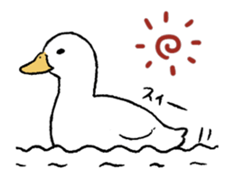 real duck in motion sticker #14219669