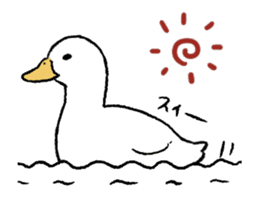 real duck in motion sticker #14219669