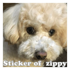 Sticker of zippy