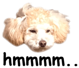 Sticker of zippy sticker #14223479