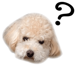 Sticker of zippy sticker #14223480