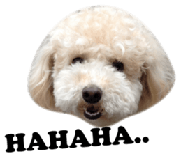 Sticker of zippy sticker #14223481