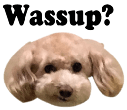 Sticker of zippy sticker #14223482