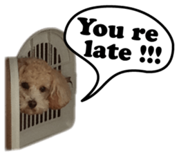 Sticker of zippy sticker #14223483