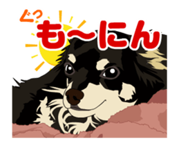 Chihuahua's everyday conversation sticker #14223742