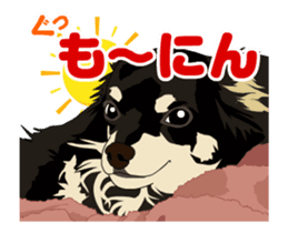 Chihuahua's everyday conversation sticker #14223742