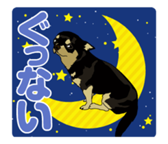 Chihuahua's everyday conversation sticker #14223743