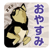 Chihuahua's everyday conversation sticker #14223744