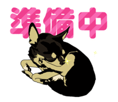 Chihuahua's everyday conversation sticker #14223745