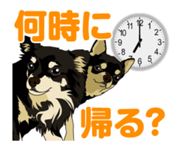 Chihuahua's everyday conversation sticker #14223748