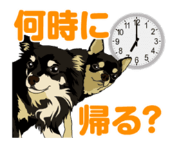 Chihuahua's everyday conversation sticker #14223748