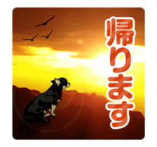 Chihuahua's everyday conversation sticker #14223749