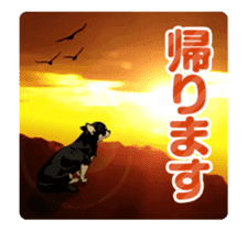 Chihuahua's everyday conversation sticker #14223749