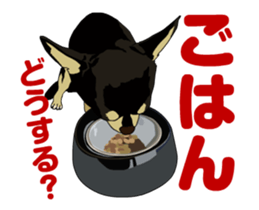 Chihuahua's everyday conversation sticker #14223750