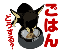 Chihuahua's everyday conversation sticker #14223750