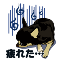 Chihuahua's everyday conversation sticker #14223751