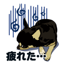 Chihuahua's everyday conversation sticker #14223751