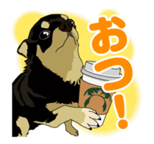 Chihuahua's everyday conversation sticker #14223752