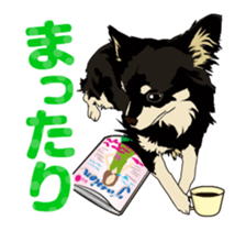 Chihuahua's everyday conversation sticker #14223753