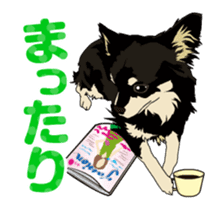 Chihuahua's everyday conversation sticker #14223753