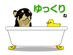 Chihuahua's everyday conversation sticker #14223754