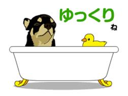 Chihuahua's everyday conversation sticker #14223754