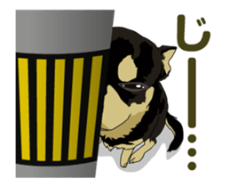 Chihuahua's everyday conversation sticker #14223757