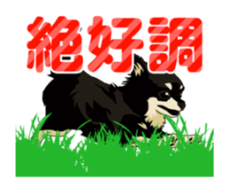 Chihuahua's everyday conversation sticker #14223758