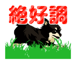 Chihuahua's everyday conversation sticker #14223758