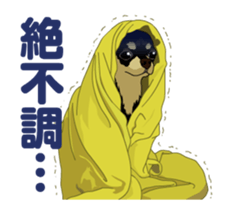 Chihuahua's everyday conversation sticker #14223759