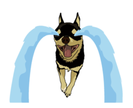 Chihuahua's everyday conversation sticker #14223760