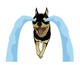 Chihuahua's everyday conversation sticker #14223760