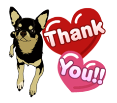 Chihuahua's everyday conversation sticker #14223763