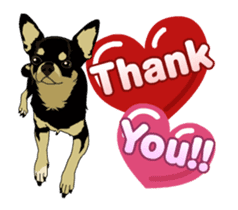 Chihuahua's everyday conversation sticker #14223763