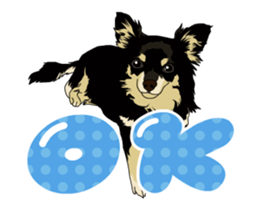 Chihuahua's everyday conversation sticker #14223764