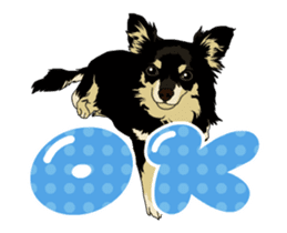 Chihuahua's everyday conversation sticker #14223764