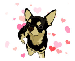 Chihuahua's everyday conversation sticker #14223765