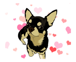 Chihuahua's everyday conversation sticker #14223765