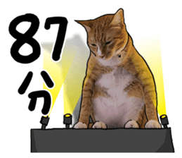 Egg Head's Cat Roommates photographs sticker #14224171