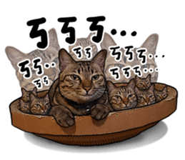 Egg Head's Cat Roommates photographs sticker #14224183