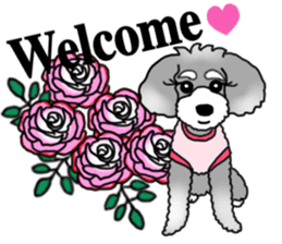 AER the Miniature Schnauzer sticker #14224423