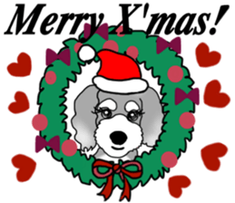 AER the Miniature Schnauzer sticker #14224426