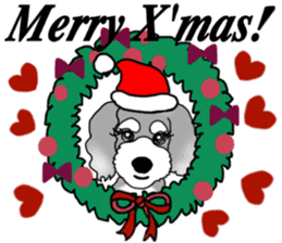 AER the Miniature Schnauzer sticker #14224426