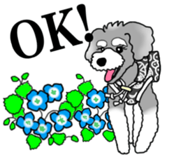 AER the Miniature Schnauzer sticker #14224427