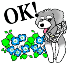 AER the Miniature Schnauzer sticker #14224427