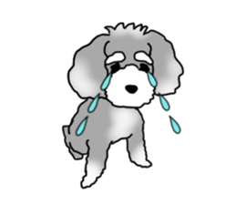 AER the Miniature Schnauzer sticker #14224436