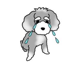 AER the Miniature Schnauzer sticker #14224436