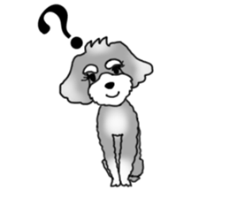 AER the Miniature Schnauzer sticker #14224440